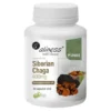 Aliness Siberian Chaga, kapsułki, 90 szt.