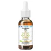 Allnutrition Cannabi oil 5% CBD, krople, 10 ml