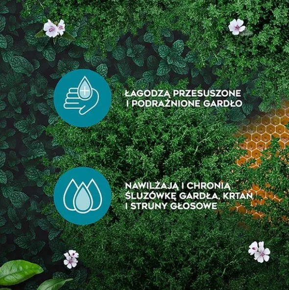 Amolowe Na Gardło z miodem i witaminą C, pastylki do ssania, 16 szt.
