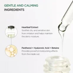 Anua Heartleaf 80% Moisture Soothing Ampoule, ampułki do twarzy, 10 ml