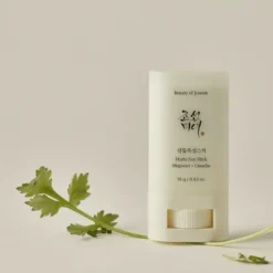 Beauty of Joseon Matte Sun Stick SPF 50+ PA++++, matujący sztyft przeciwsłoneczny z piołunem i zieloną herbatą, 18 g