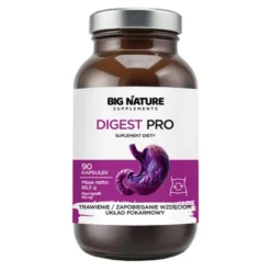 Big Nature Digest Pro, kapsułki, 90 szt.
