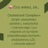 Biowen Cholestovit Complex+, kapsułki, 90 szt.