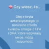 Biowen, Krill Oil Pro, kapsułki, 90 szt.