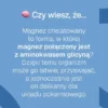 Biowen Magnez chelatowany - diglicynian magnezu, kapsułki, 100 szt.