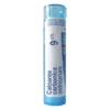 Boiron Calcarea carbonica ostrearum, 9 CH, granulki, 4 g