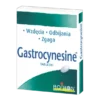 Boiron Gastrocynesine, tabletki na nieżyt żołądka, 60 szt.