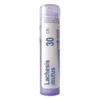 Boiron Lachesis mutus, 30 CH, granulki, 4 g