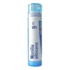 Boiron Monilia albicans, 9CH, granulki, 4g