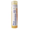 Boiron Rhus-toxicodendron, 15CH, granulki, 4g