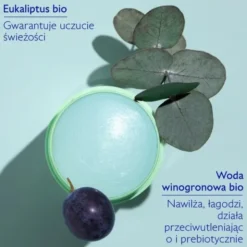 Caudalie Vinofresh, naturalny dezodorant 24h, sztyft, 50 g