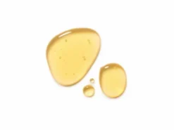 Dr.Hauschka Birch Arnica Energising Body Oil, olejek do ciała z brzozą i arniką, 75 ml