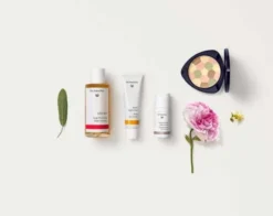 Dr. Hauschka, Rose Day Cream, krem na dzień, 30 ml