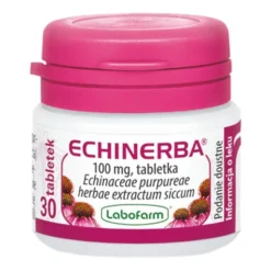 Echinerba, tabletki, 100 mg, 30 szt.