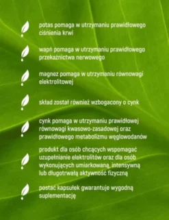 Essensey Elektrolity, kapsułki 120 szt.