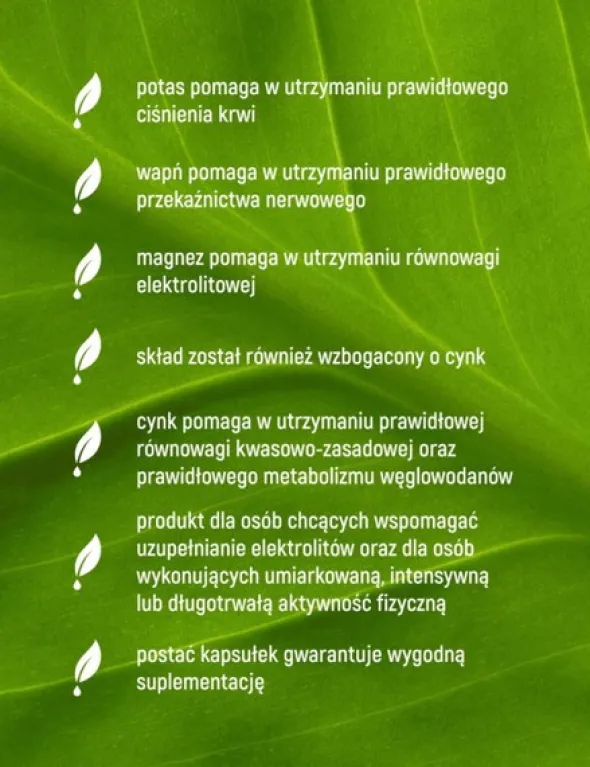 Essensey Elektrolity, kapsułki 120 szt.