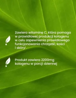 Essensey Kolagen Rybi Forte 2200 mg, kapsułki, 120 szt.