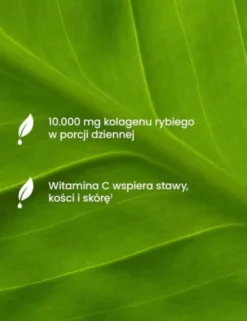 Essensey Kolagen Rybi Premium 10 000 mg, proszek, smak mango - pomarańcza, 321 g