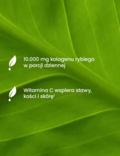 Essensey Kolagen Rybi Premium 10 000 mg, proszek, smak zielone herbata - limonka, 321 g