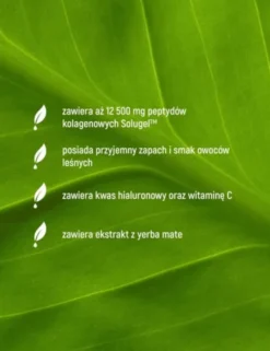 Essensey Kolagen Rybi Slim Formula, proszek, smak owoce leśne, 290 g