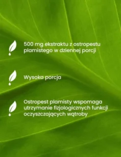 Essensey Ostropest plamisty, Wsparcie wątroby, kapsułki, 90 szt.
