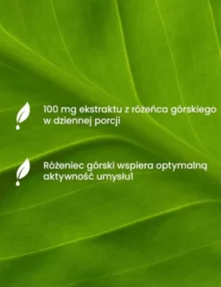 Essensey Różeniec Górski, kapsułki, 90 szt.