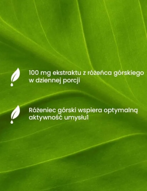 Essensey Różeniec Górski, kapsułki, 90 szt.