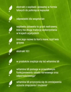 Essensey Soplówka Jeżowata, kapsułki, 90 szt.