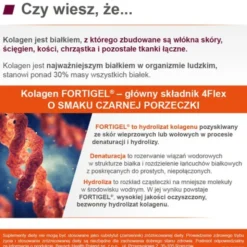 4 Flex, saszetki z proszkiem, smak czarna porzeczka, 30 szt.