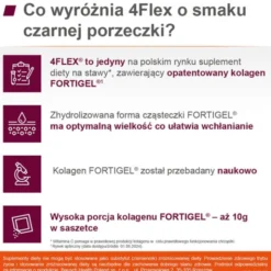 4 Flex, saszetki z proszkiem, smak czarna porzeczka, 30 szt.