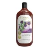 Flora by Ecos lab, Łopian, szampon do włosów z tendencją do łupieżu, 500 ml