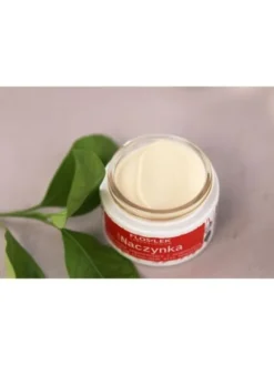 Flos-Lek, Stop Naczynka, krem-maska regenerujący z hesperydyną na noc, 50 ml