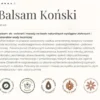 Gorvita, Koński Balsam, 250 ml
