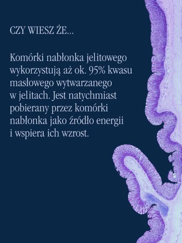 Health Labs Maślan Sodu Forte Men, kapsułki, 60 szt.