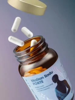 Health Labs Maślan Sodu Forte Men, kapsułki, 60 szt.