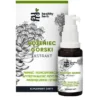 Healthy Herb Różeniec górski ekstrakt, krople, 30 ml
