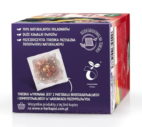 Herbapol Herbaciany Ogród, czarna porzeczka z cytryną, torebki, 20 szt.