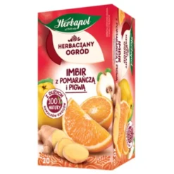 Herbapol Herbaciany Ogród, imbir z pomarańczą i pigwą, torebki, 20 szt.