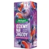 Herbapol Idziemy na jagody, torebki, 20 szt.