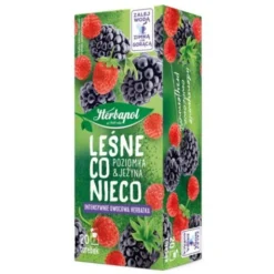 Herbapol Leśne co nieco, torebki, 20 szt.