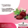Herbitussin Kaszel i Gardło, pastylki do ssania, 12 szt.