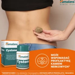 Himalaya Cystone, tabletki, 100 szt.