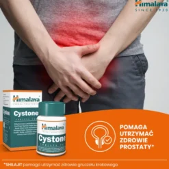 Himalaya Cystone, tabletki, 100 szt.