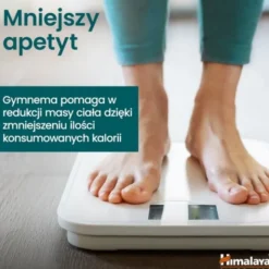Himalaya Organic Gymnema, tabletki, 60 szt.
