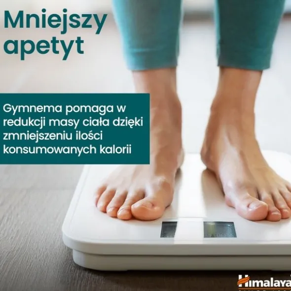 Himalaya Organic Gymnema, tabletki, 60 szt.
