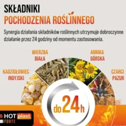 Hot Plast Forte, plaster rozgrzewający, 9 x 14 cm, 1 szt.
