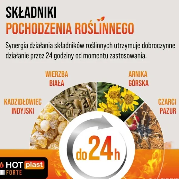 Hot Plast Forte, plaster rozgrzewający, 9 x 14 cm, 1 szt.