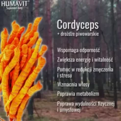 Humavit Cordyceps Maczużnik Chiński + Drożdże Piwowarskie, tabletki, 150 szt.