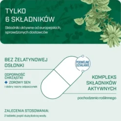 Iana Stawy Odporność Chrząstki + Zdrowy sen, tabletki, 60 szt.