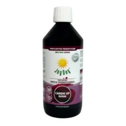Joy Day Cardio Up Eko koncentrat napoju probiotycznego Burak, płyn, 500 ml